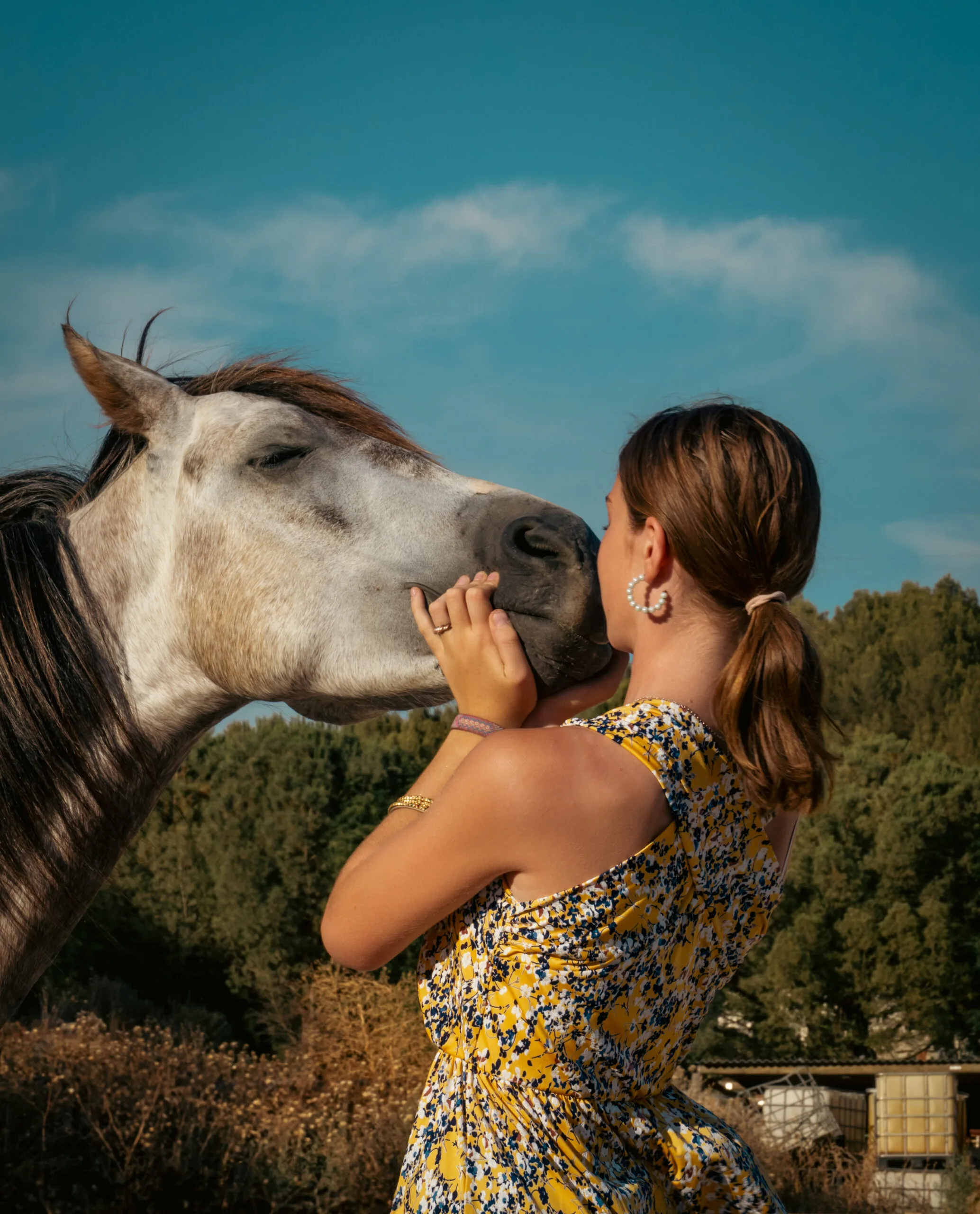 Séance photo équine à Marseille