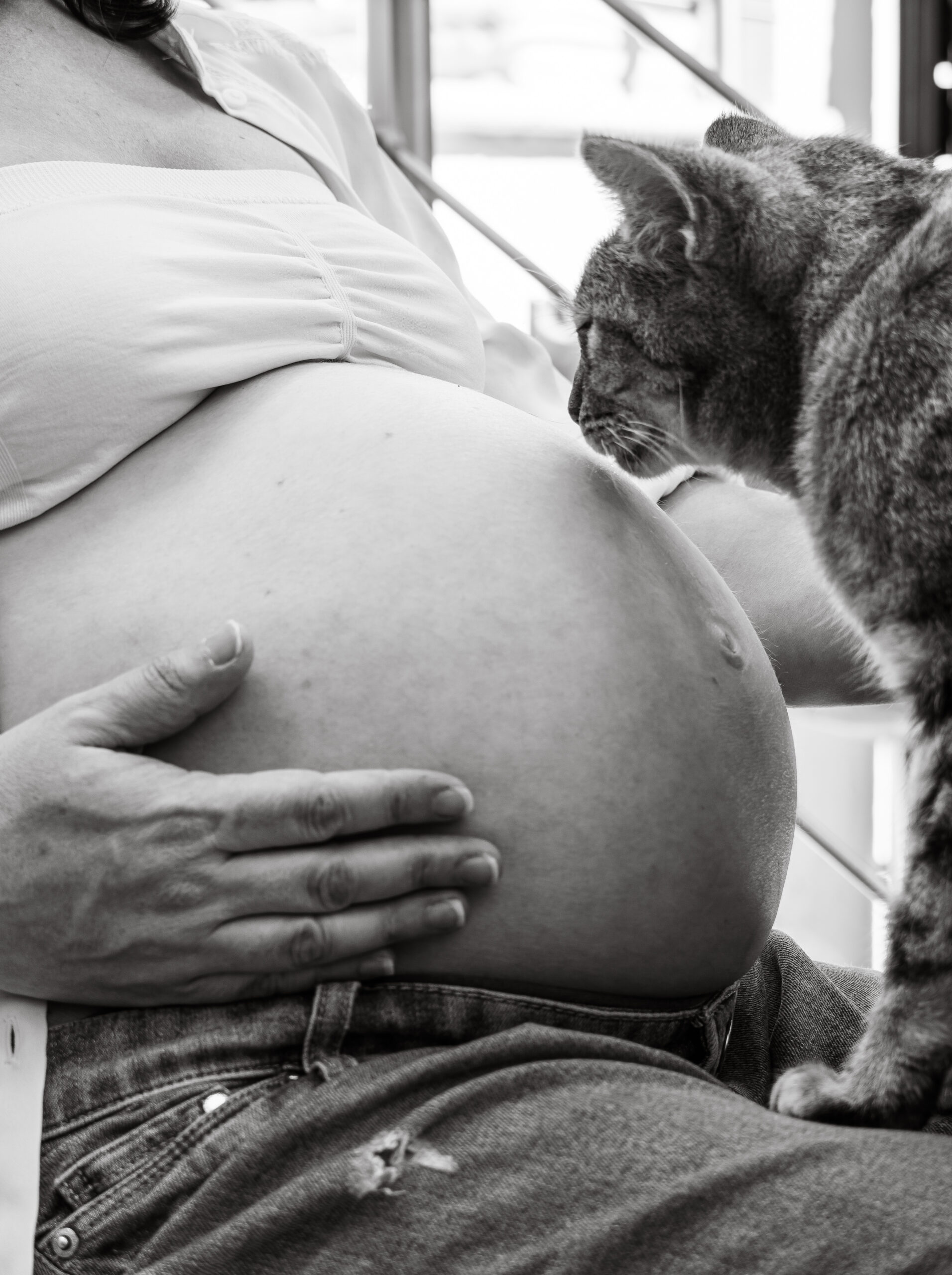 Chat léchant tendrement le ventre d’une femme enceinte pendant une séance photo grossesse.